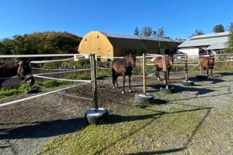 Grønt kort kurs 11.09.2022